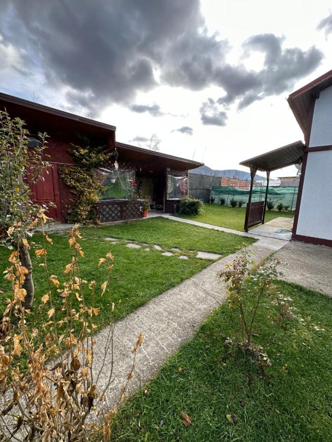 Casa Rares Buşteni Exterior foto